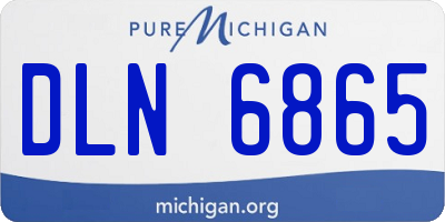 MI license plate DLN6865