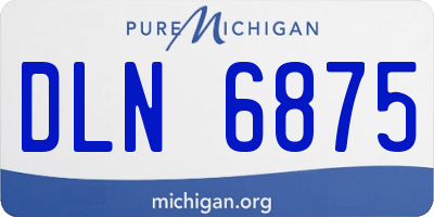 MI license plate DLN6875