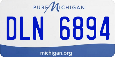 MI license plate DLN6894