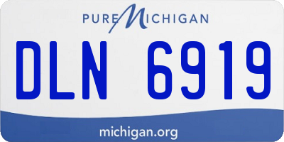 MI license plate DLN6919