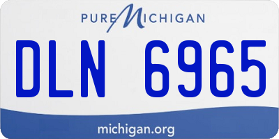 MI license plate DLN6965