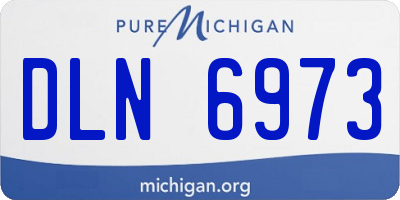 MI license plate DLN6973