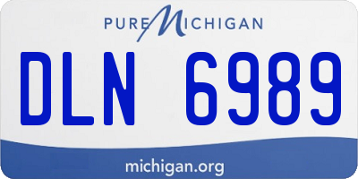 MI license plate DLN6989