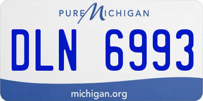 MI license plate DLN6993