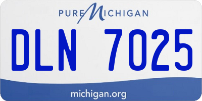 MI license plate DLN7025