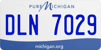 MI license plate DLN7029