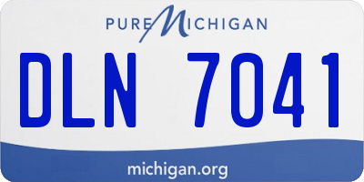 MI license plate DLN7041