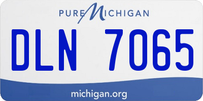 MI license plate DLN7065