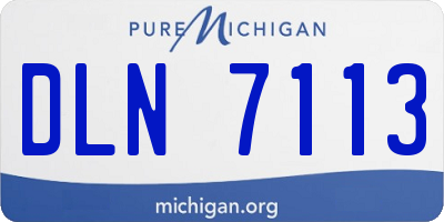 MI license plate DLN7113