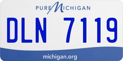 MI license plate DLN7119