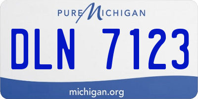 MI license plate DLN7123