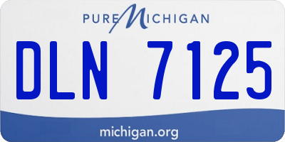 MI license plate DLN7125