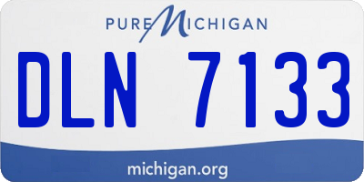 MI license plate DLN7133