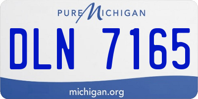 MI license plate DLN7165