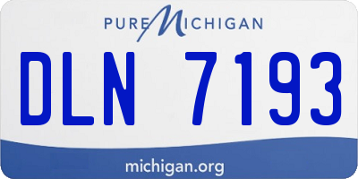 MI license plate DLN7193