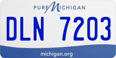 MI license plate DLN7203