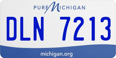 MI license plate DLN7213