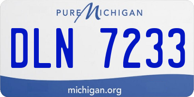 MI license plate DLN7233