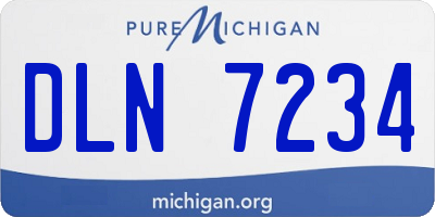 MI license plate DLN7234