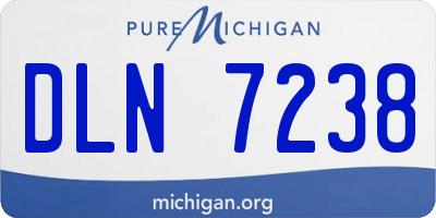 MI license plate DLN7238