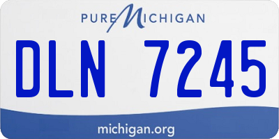 MI license plate DLN7245