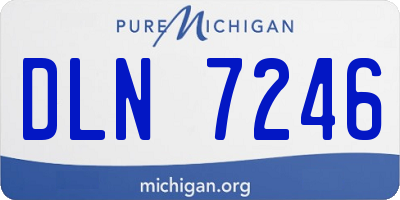 MI license plate DLN7246