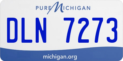 MI license plate DLN7273