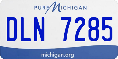 MI license plate DLN7285