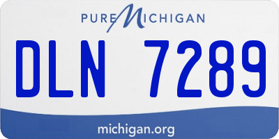 MI license plate DLN7289