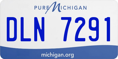 MI license plate DLN7291