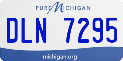 MI license plate DLN7295