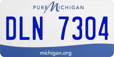 MI license plate DLN7304