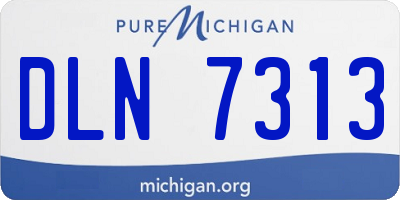 MI license plate DLN7313