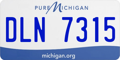 MI license plate DLN7315