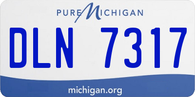 MI license plate DLN7317