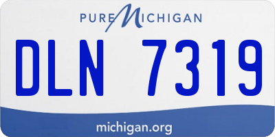 MI license plate DLN7319