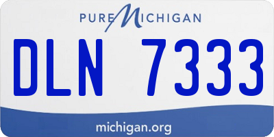 MI license plate DLN7333