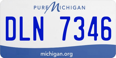 MI license plate DLN7346