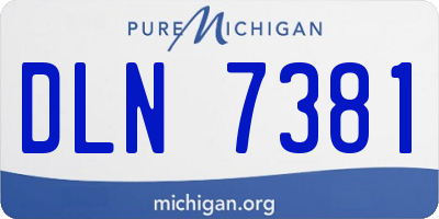 MI license plate DLN7381