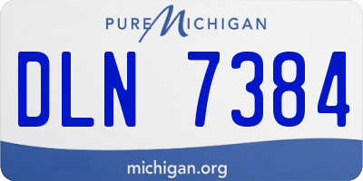 MI license plate DLN7384