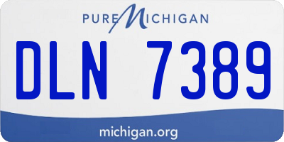 MI license plate DLN7389