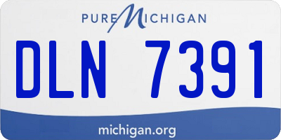 MI license plate DLN7391