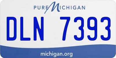 MI license plate DLN7393