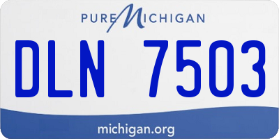 MI license plate DLN7503