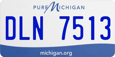 MI license plate DLN7513