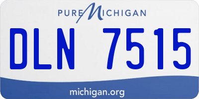 MI license plate DLN7515