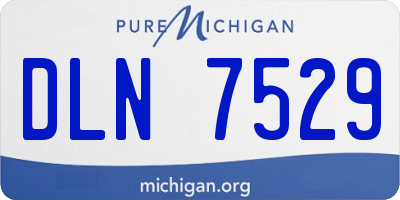 MI license plate DLN7529