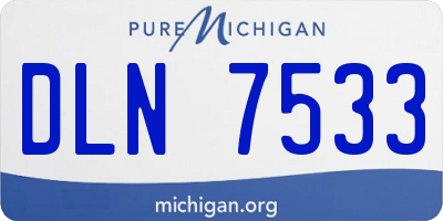 MI license plate DLN7533