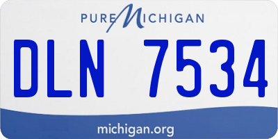 MI license plate DLN7534