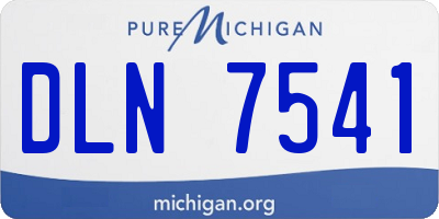 MI license plate DLN7541